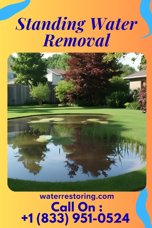 Standing Water Removal in Luray, MO